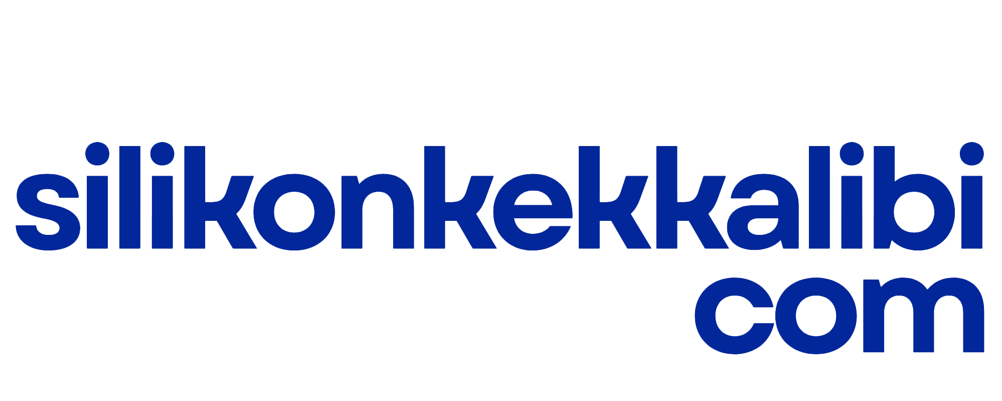 silikonkekkalibi.com